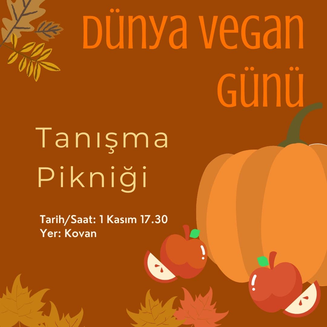 Etkinlik kapağı