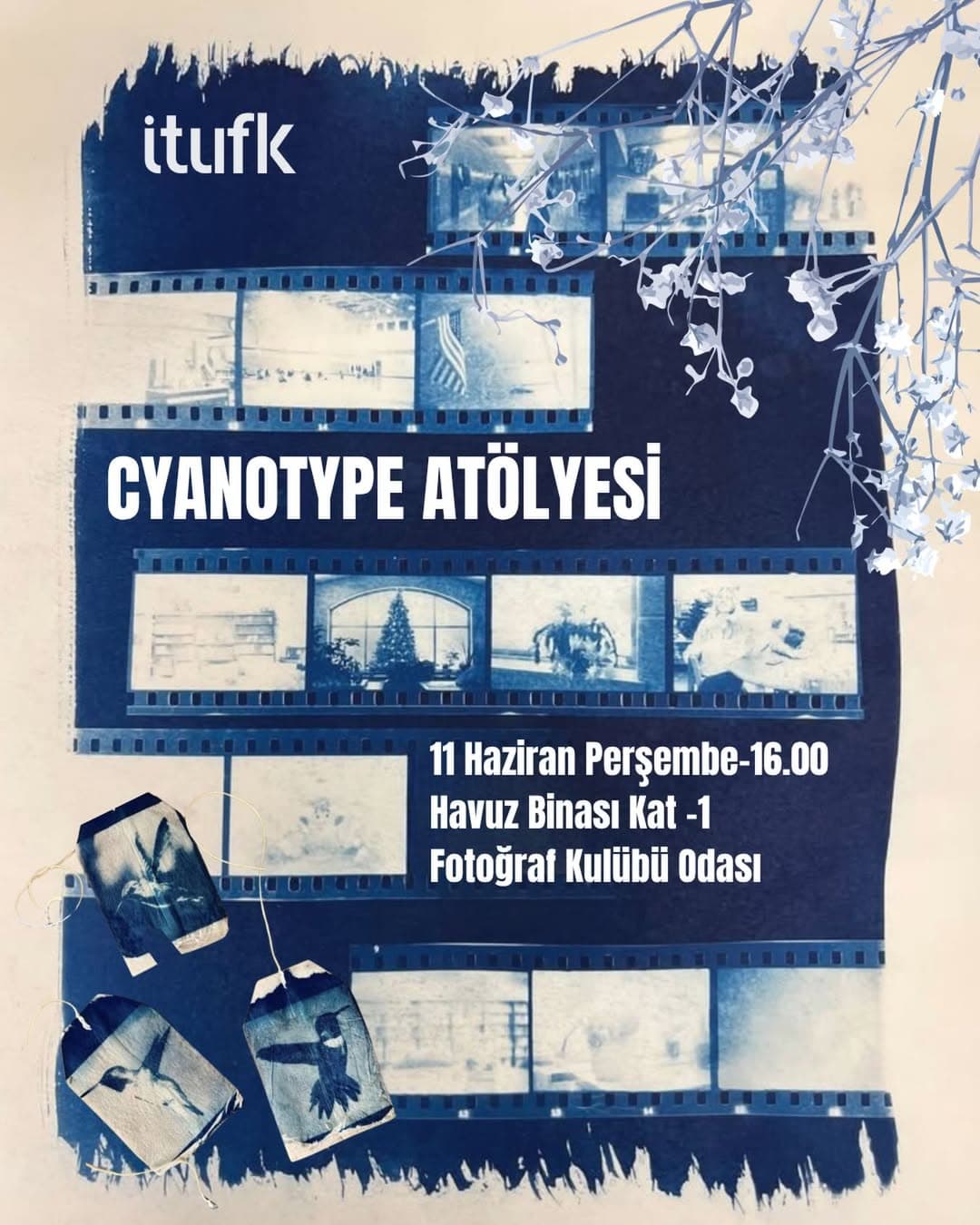 Cyanotype Atölyesi
