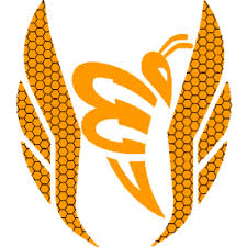 Kulüp Logosu