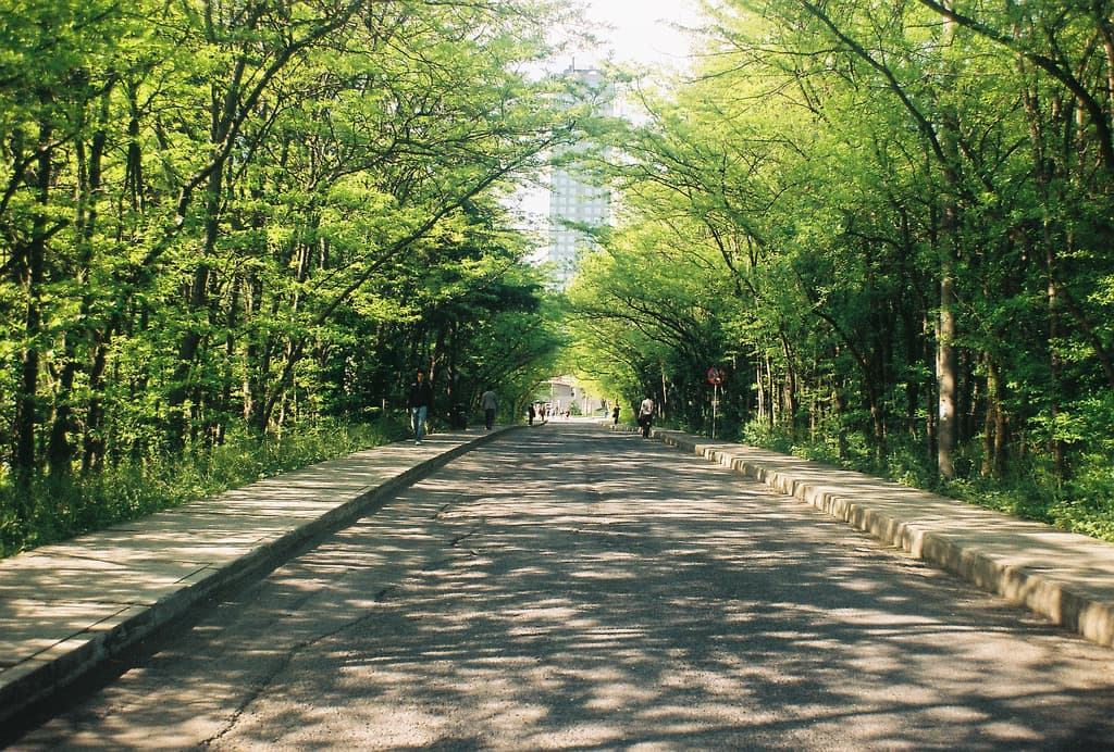 Araştırma: Gerçek yeşil kampüsler vs. İTÜ