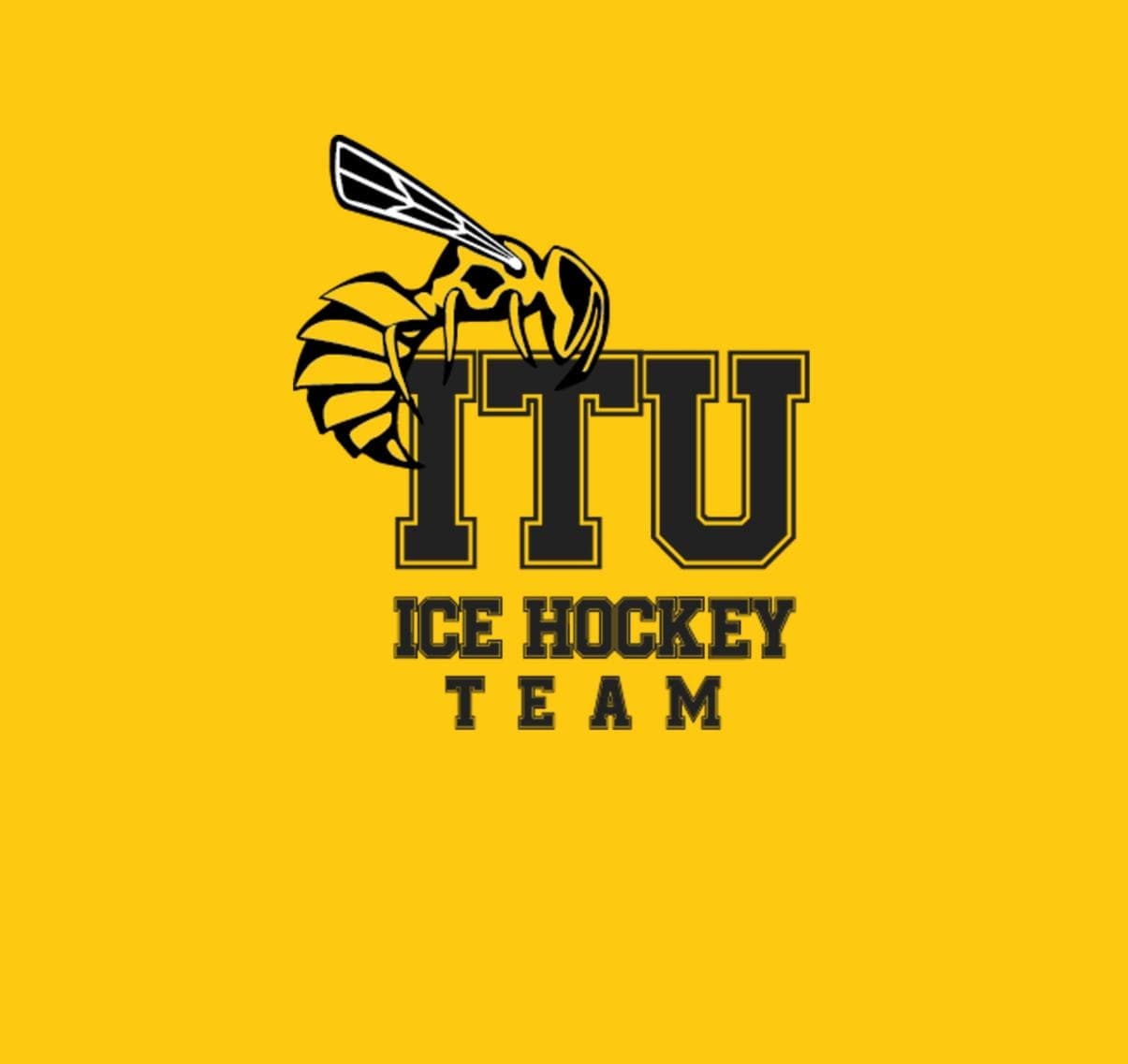 İTÜ Buz Hokeyi Takımı Buz Hokeyi 1.Ligi Hazırlıklarına Başladı