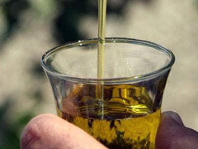 Dünyada ilk kez İTÜ'de özel bir yağ üretildi